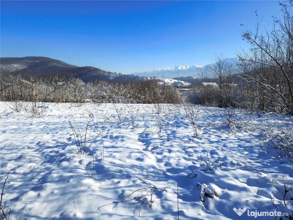 Teren 1344 mp de cu autorizatie de constructie str Cindrel 