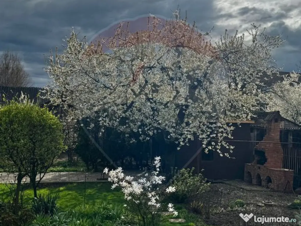 Casă / Vilă cu 8 camere de vânzare în zona Central 