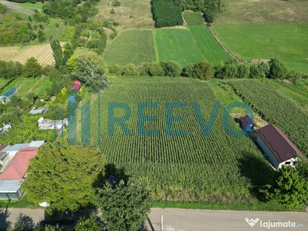 Teren intravilan de vânzare, Sat Bogdănști, Com. Traian