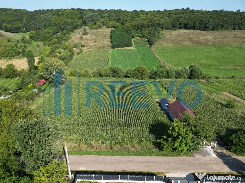 Teren intravilan de vânzare, Sat Bogdănști, Com. Traian