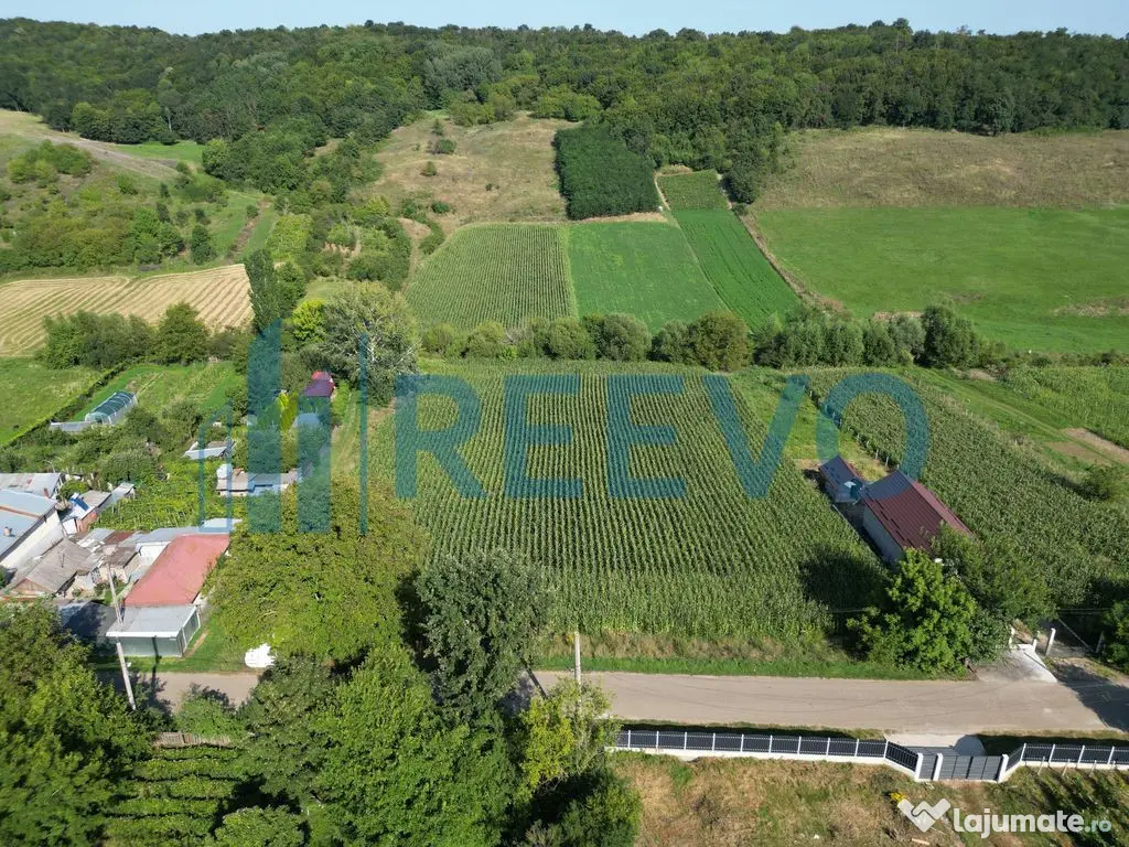 Teren intravilan de vânzare, Sat Bogdănști, Com. Traian