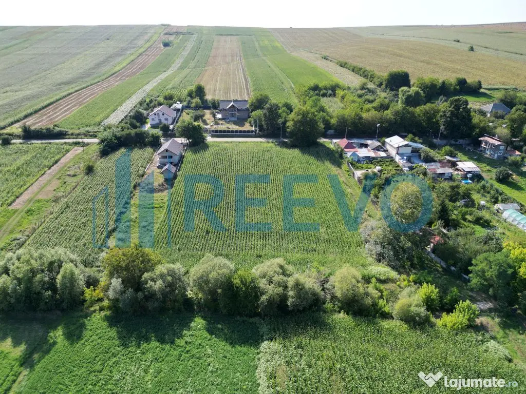 Teren intravilan de vânzare, Sat Bogdănști, Com. Traian