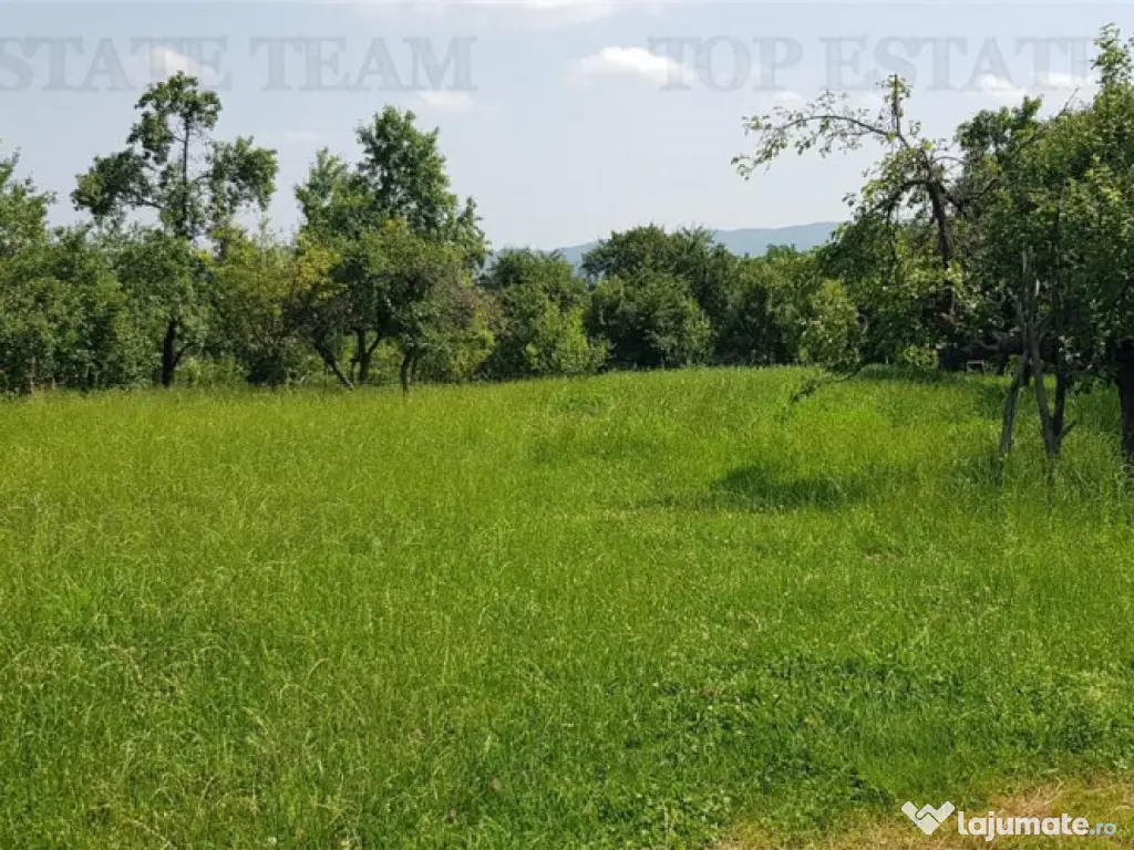 Teren intravilan Campulung – 2.957 mp cu livada, anexa ...