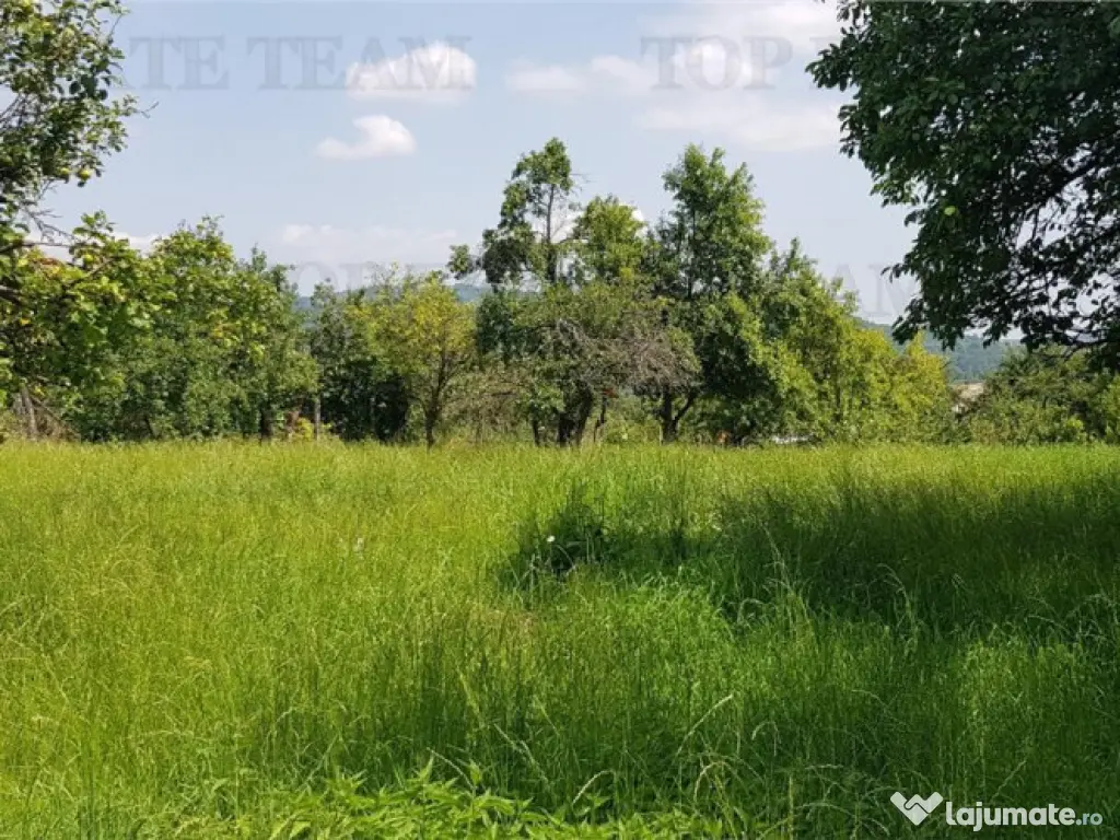 Teren intravilan Campulung – 2.957 mp cu livada, anexa ...
