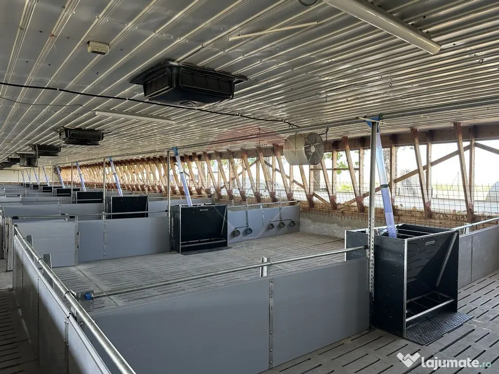 Ferma porcine la cheie 