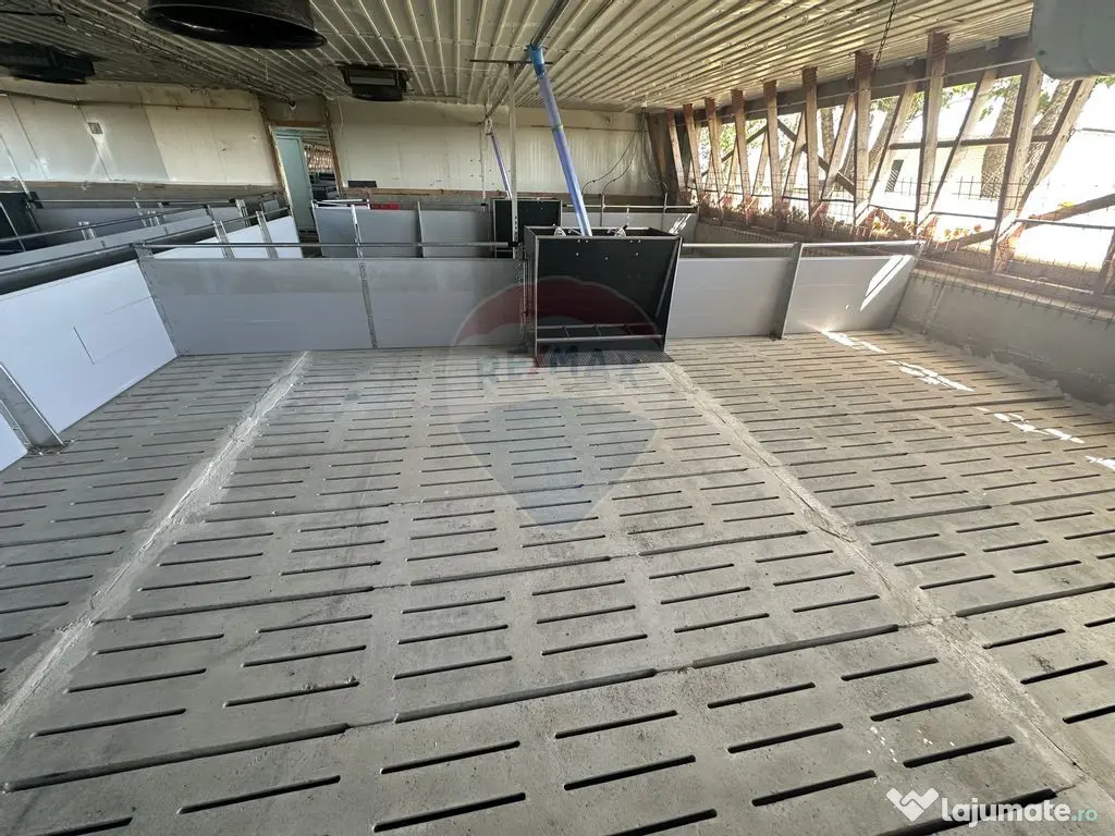 Ferma porcine la cheie 