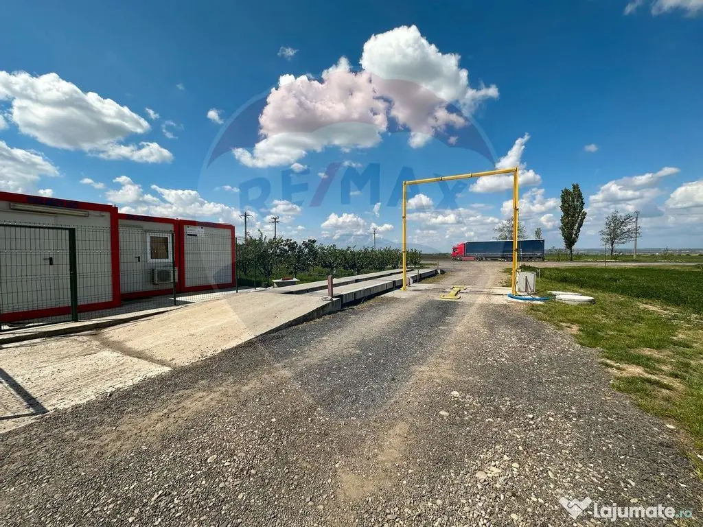 Ferma porcine la cheie 