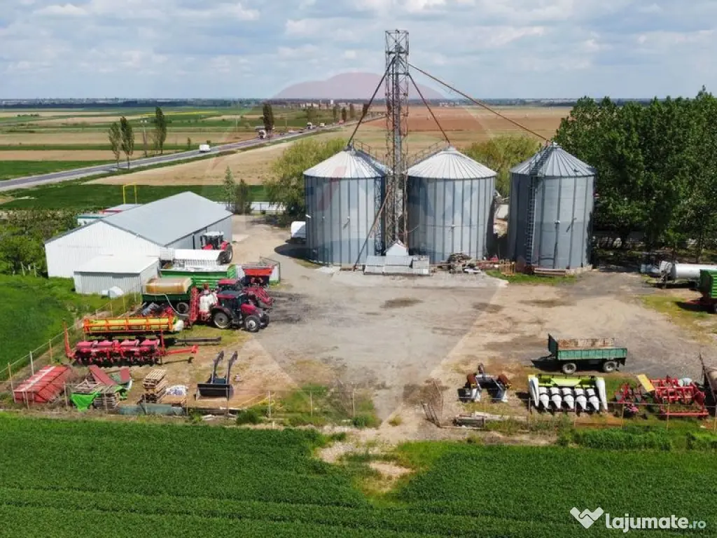 Ferma porcine la cheie 