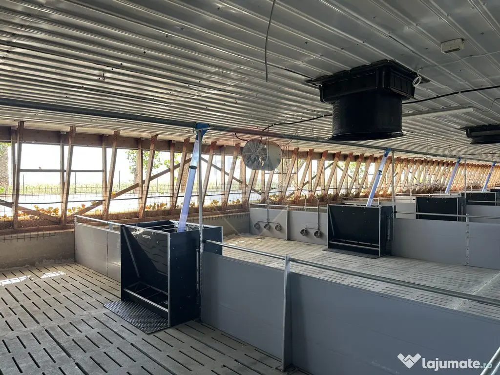 Ferma porcine la cheie 