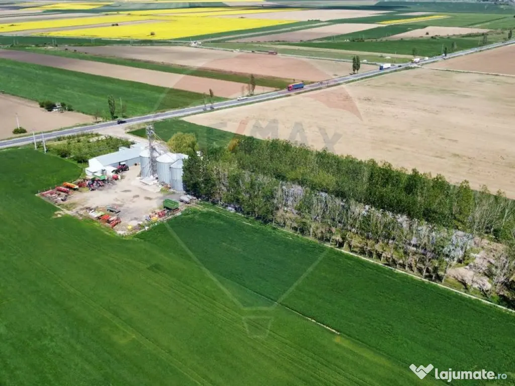 Ferma porcine la cheie 