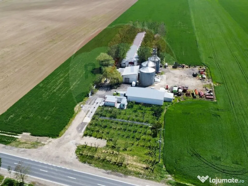 Ferma porcine la cheie 