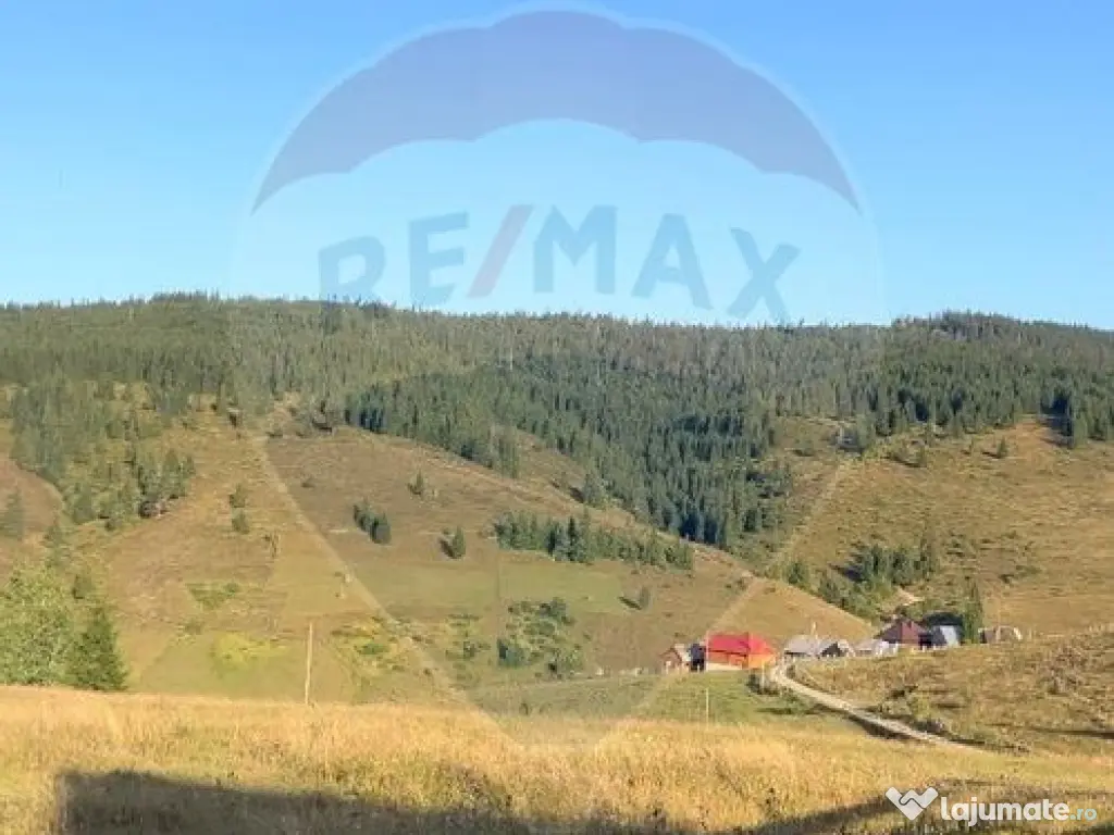 Teren imprejmuit 4914 mp Statiunea Belis-Fantanele, Giurc... 