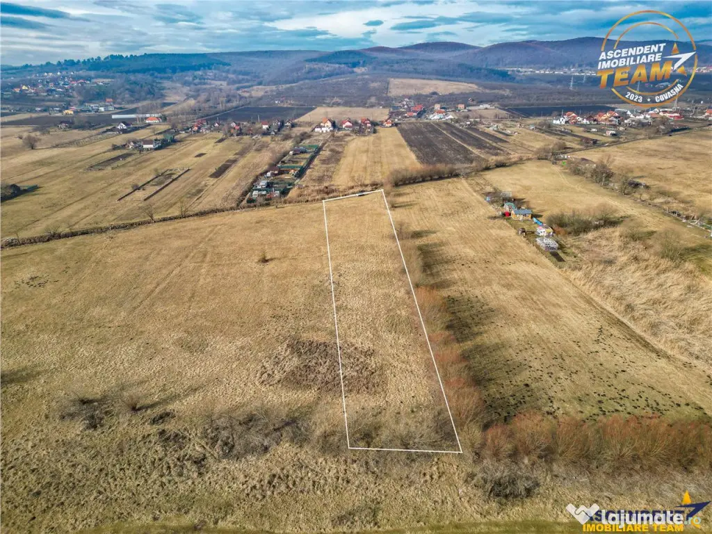 Teren extravilan de 5.800 mp in Sfantu Gheorghe:oportunitate 