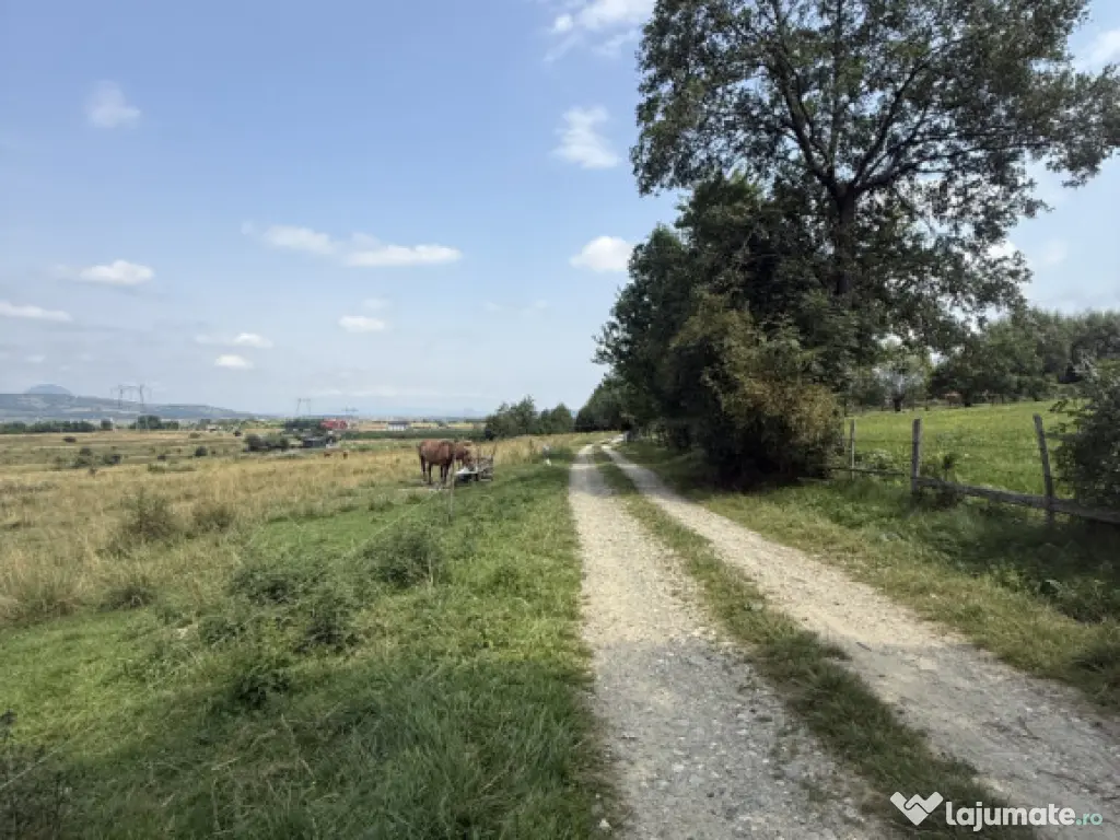 Teren intravilan 500 mp - Tohanul Nou