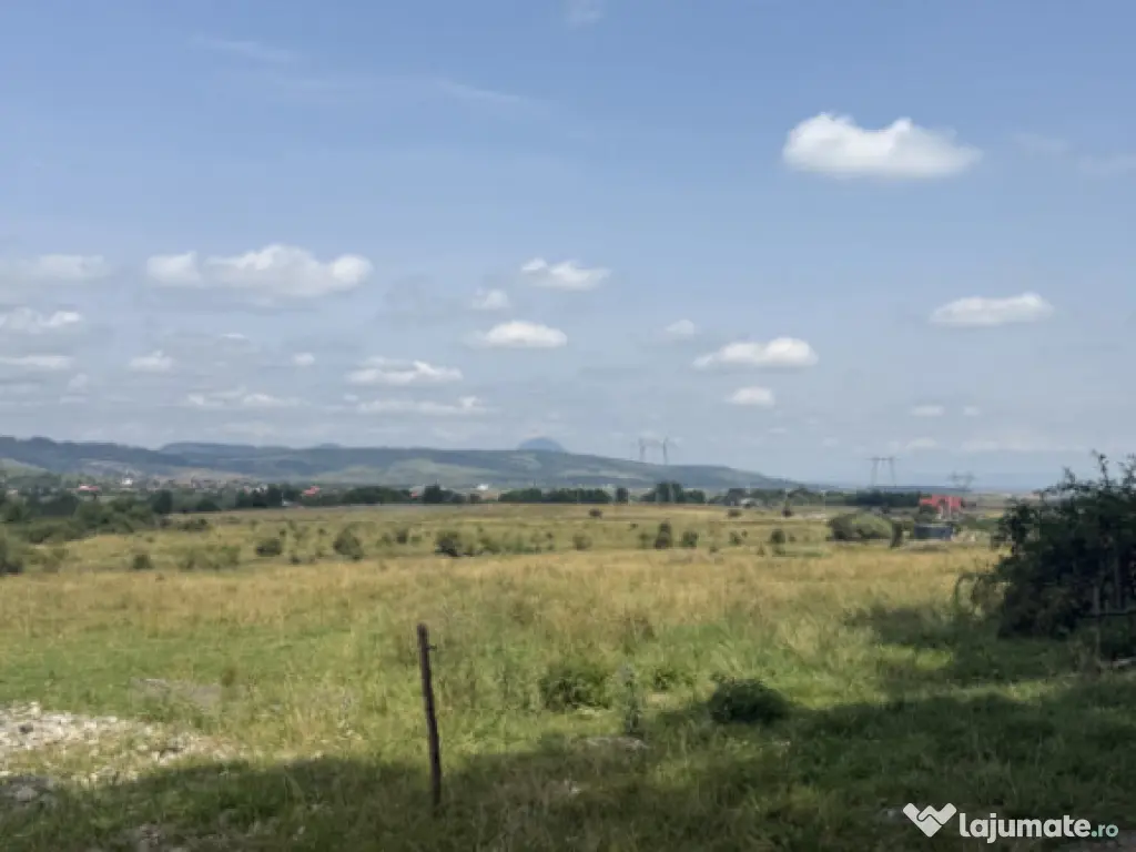 Teren intravilan 500 mp - Tohanul Nou 