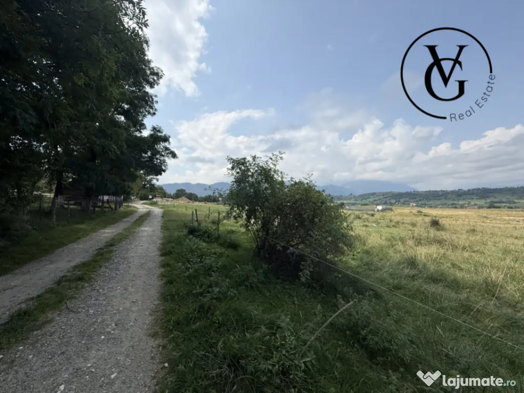 Teren intravilan 500 mp - Tohanul Nou 