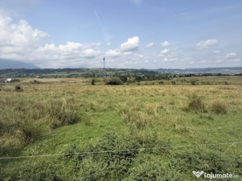 Teren intravilan 500 mp - Tohanul Nou 