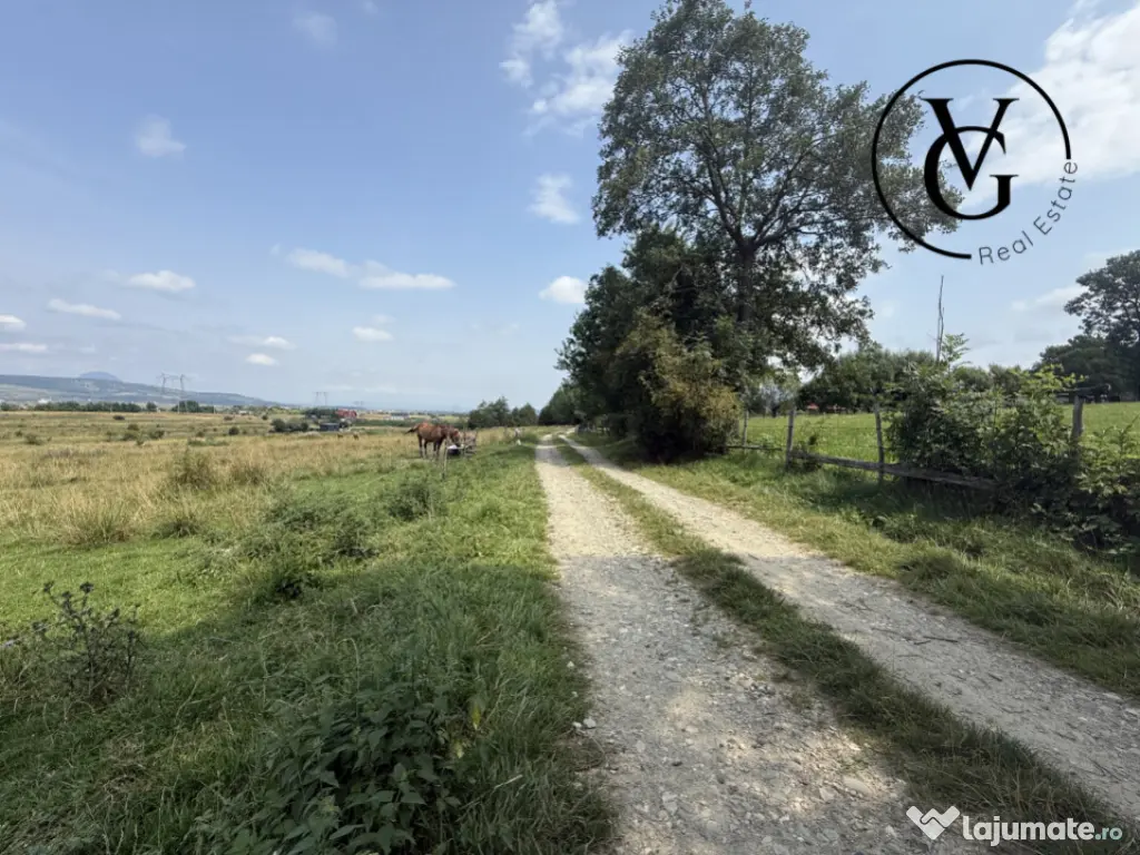 Teren intravilan 500 mp - Tohanul Nou 