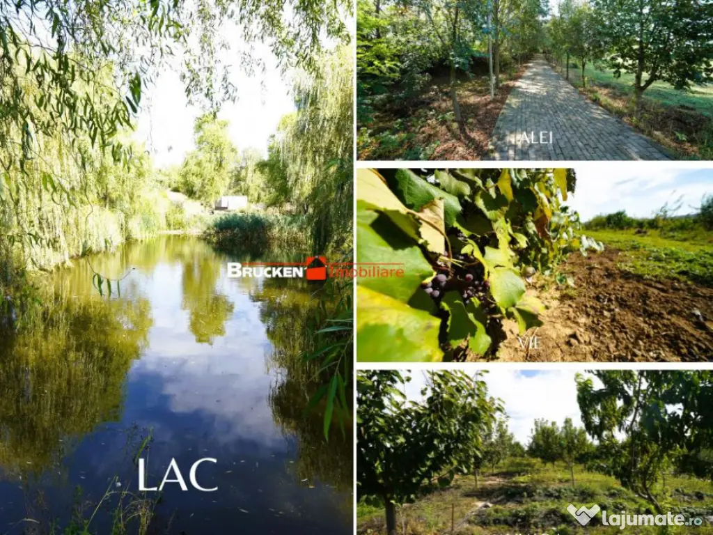 Resort termal cu potential exceptional