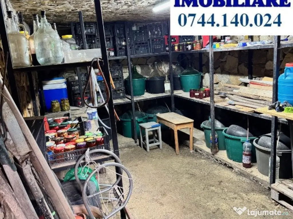 Casa+6338 mp teren, sat Izvoare, 149 900 EURO 