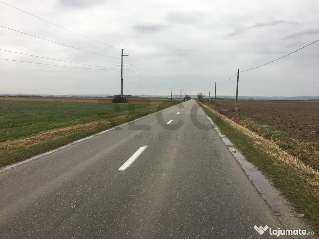 Reco Teren Intravilan in Chiribis 