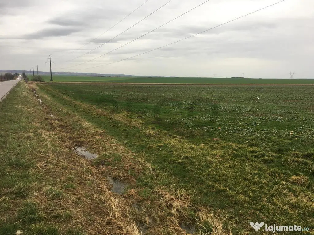 Reco Teren Intravilan in Chiribis 