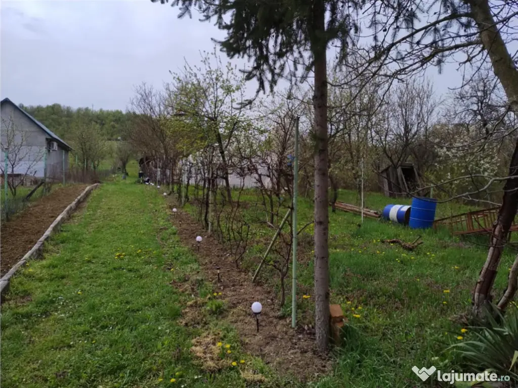 RECO Teren intravilan, Santelec 