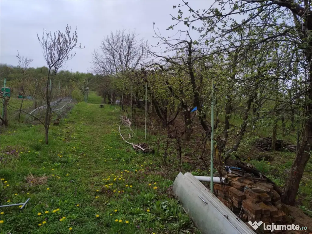 RECO Teren intravilan, Santelec 