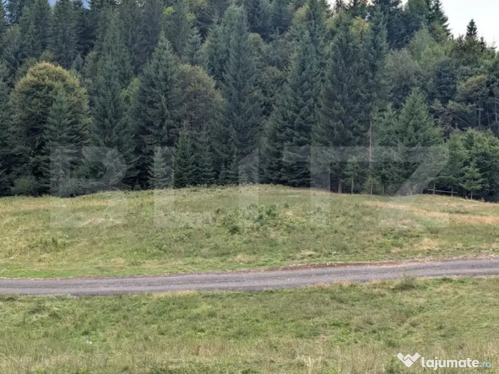 Teren intravilan de vânzare în Colibița – oportunitate