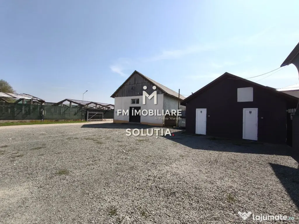 Complex industrial cu teren 18,672 mp Târgu Lăpuș 