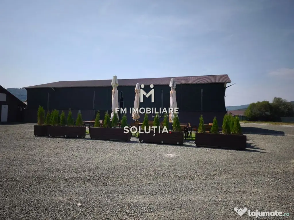 Complex industrial cu teren 18,672 mp Târgu Lăpuș 