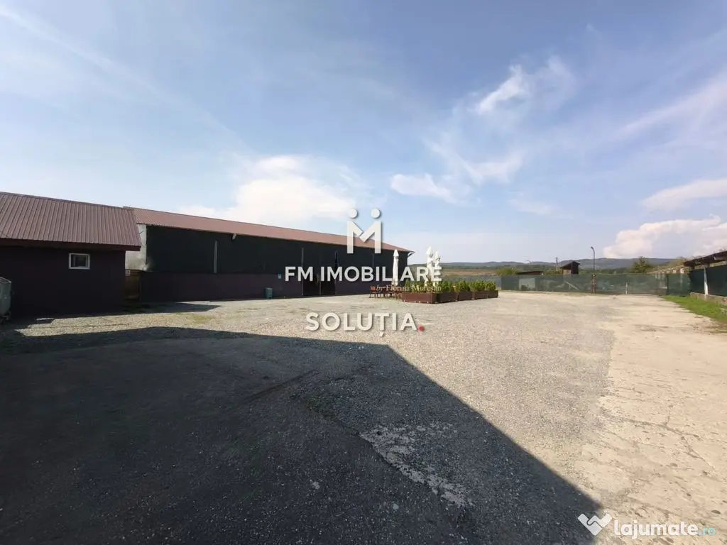 Complex industrial cu teren 18,672 mp Târgu Lăpuș 