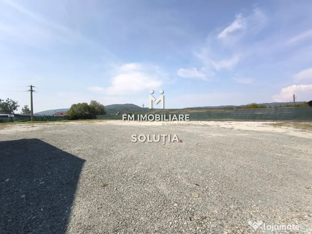 Complex industrial cu teren 18,672 mp Târgu Lăpuș 