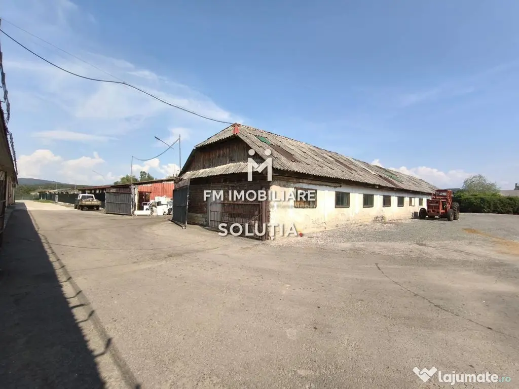 Complex industrial cu teren 18,672 mp Târgu Lăpuș 