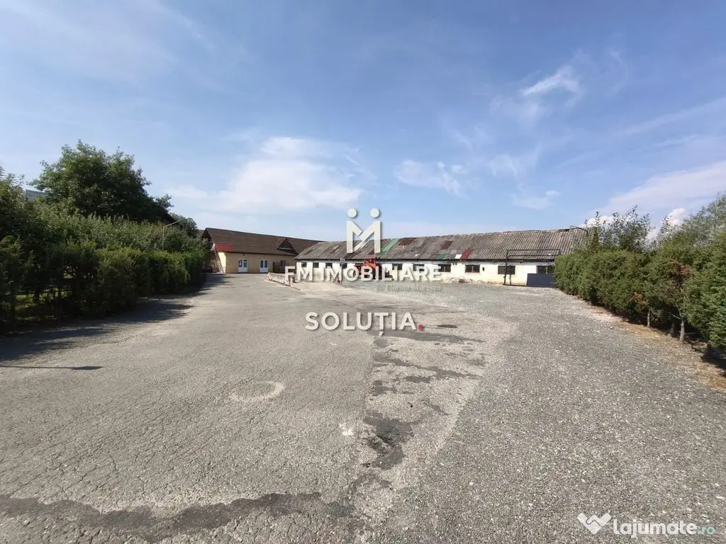 Complex industrial cu teren 18,672 mp Târgu Lăpuș 