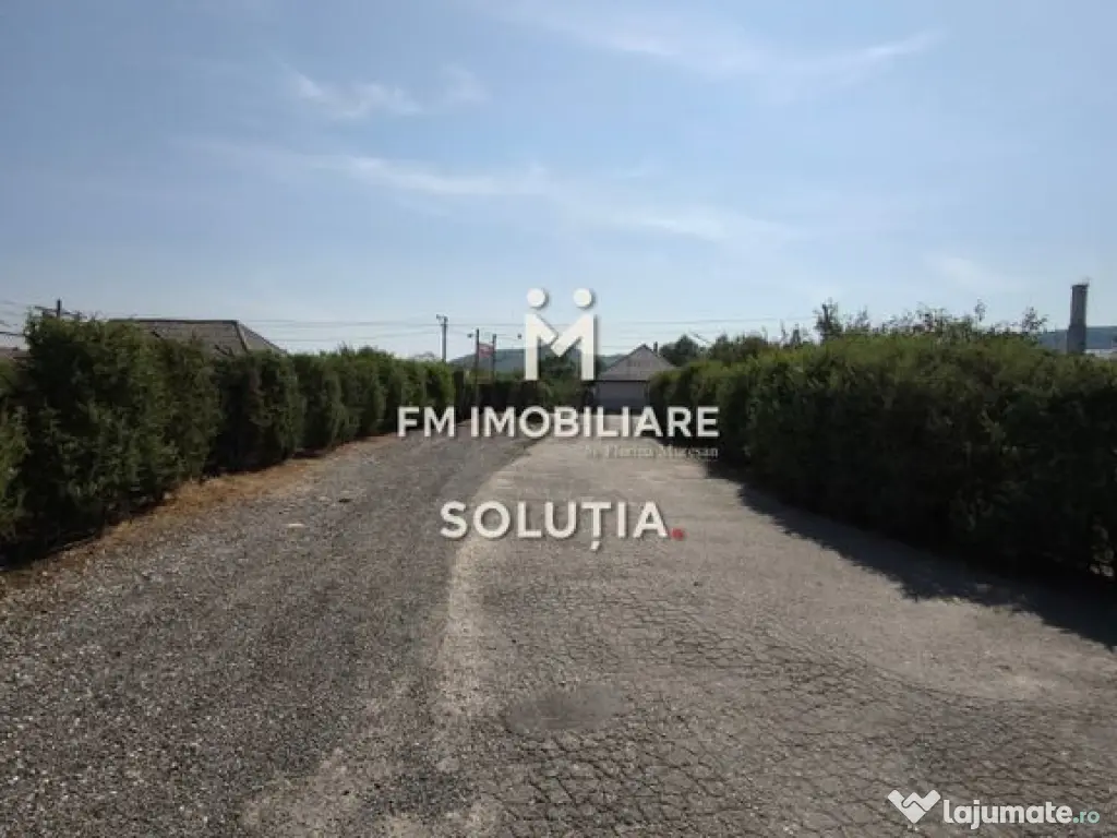 Complex industrial cu teren 18,672 mp Târgu Lăpuș 