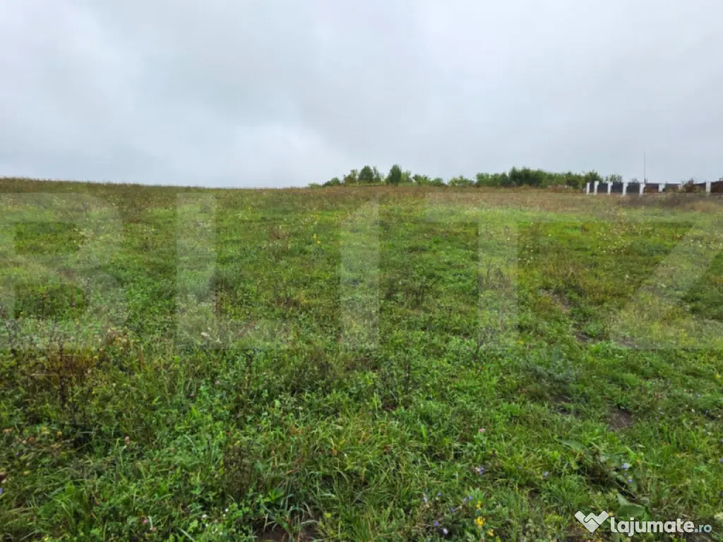 Teren intravilan, 20 ari, toate utilitatile, zona Sigmir