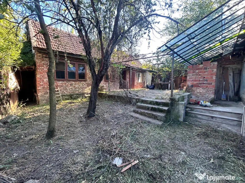 Bocsa Romana, 2 Corpuri de cladire cu Teren de 555 mp. si ga