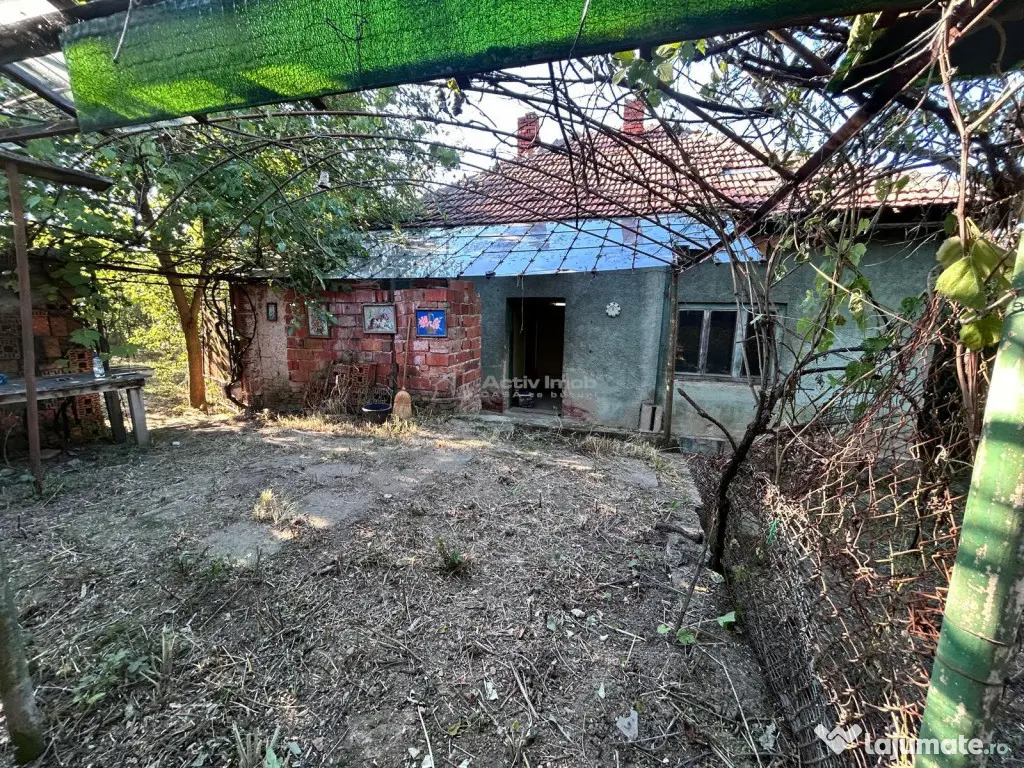 Bocsa Romana, 2 Corpuri de cladire cu Teren de 555 mp. si ga