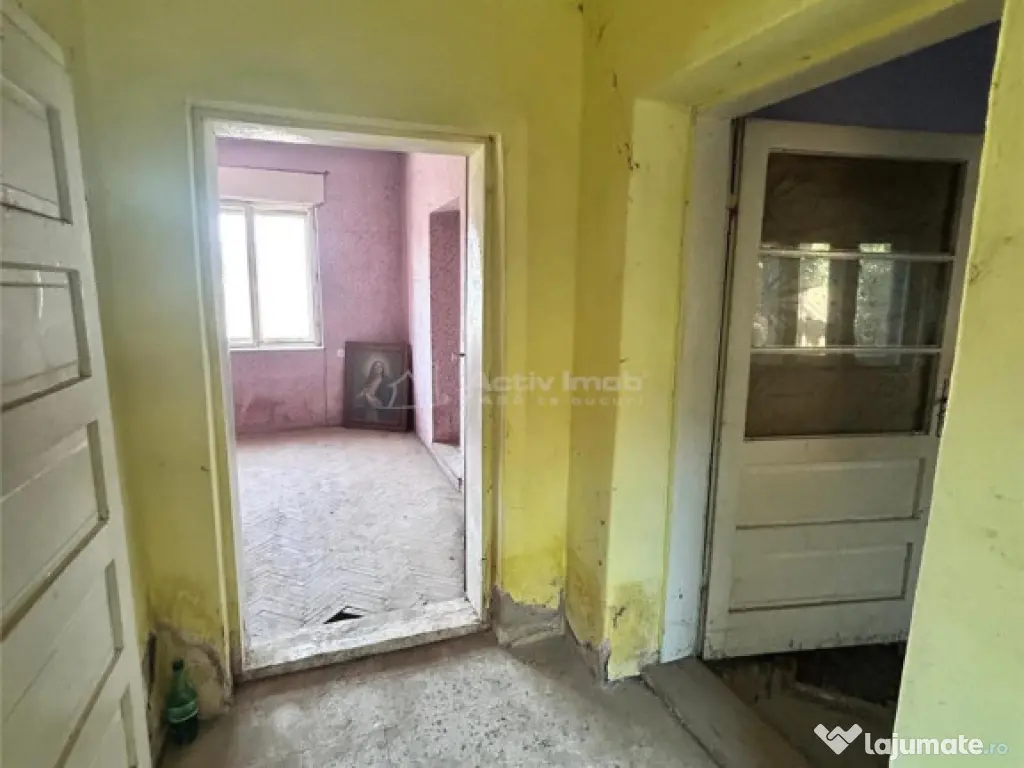 Bocsa Romana, 2 Corpuri de cladire cu Teren de 555 mp. si ga