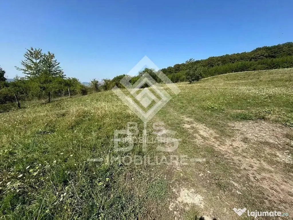 Teren Extravilan - 10'000 Mp - Valea Budacului (Bistrita)