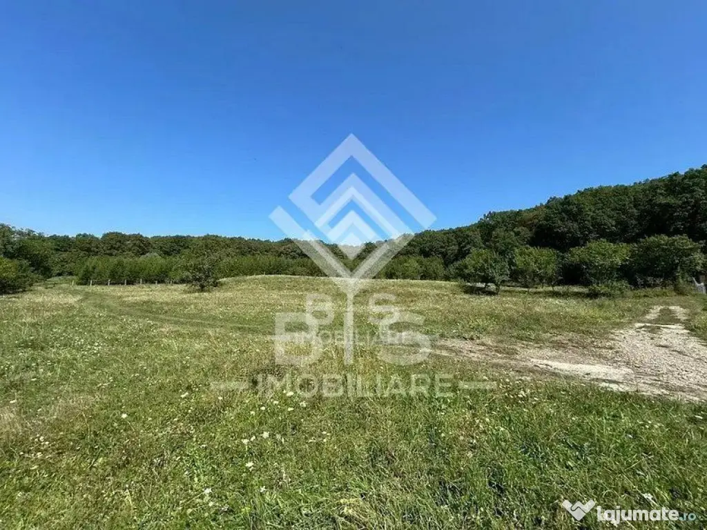 Teren Extravilan - 10'000 Mp - Valea Budacului (Bistrita)
