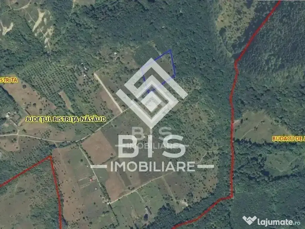 Teren Extravilan - 10'000 Mp - Valea Budacului (Bistrita)