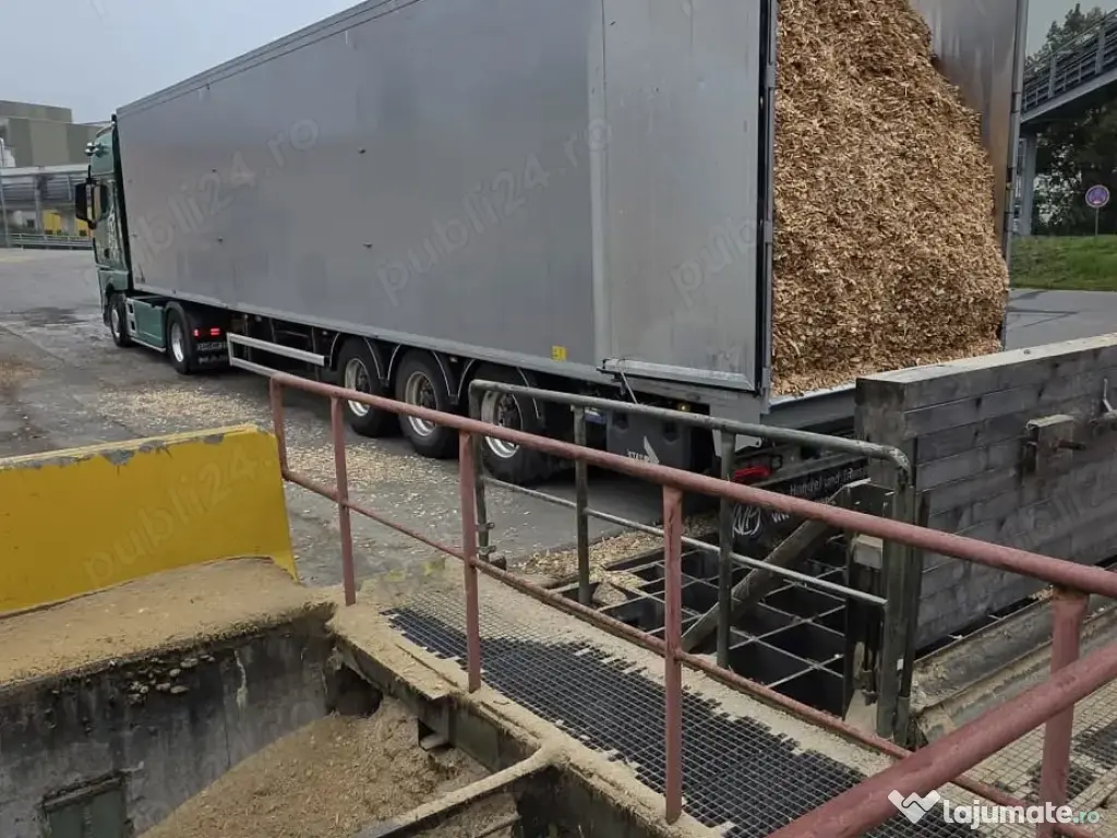 Firma germana face angajari soferi pentru a lucra cu materiale lemnoase 