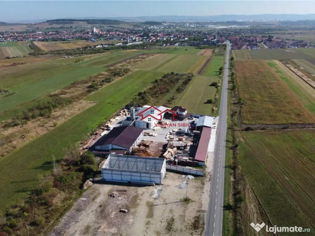 Oportunitate investi#539;ie prelucrare lemn, Cristian,jud.Si