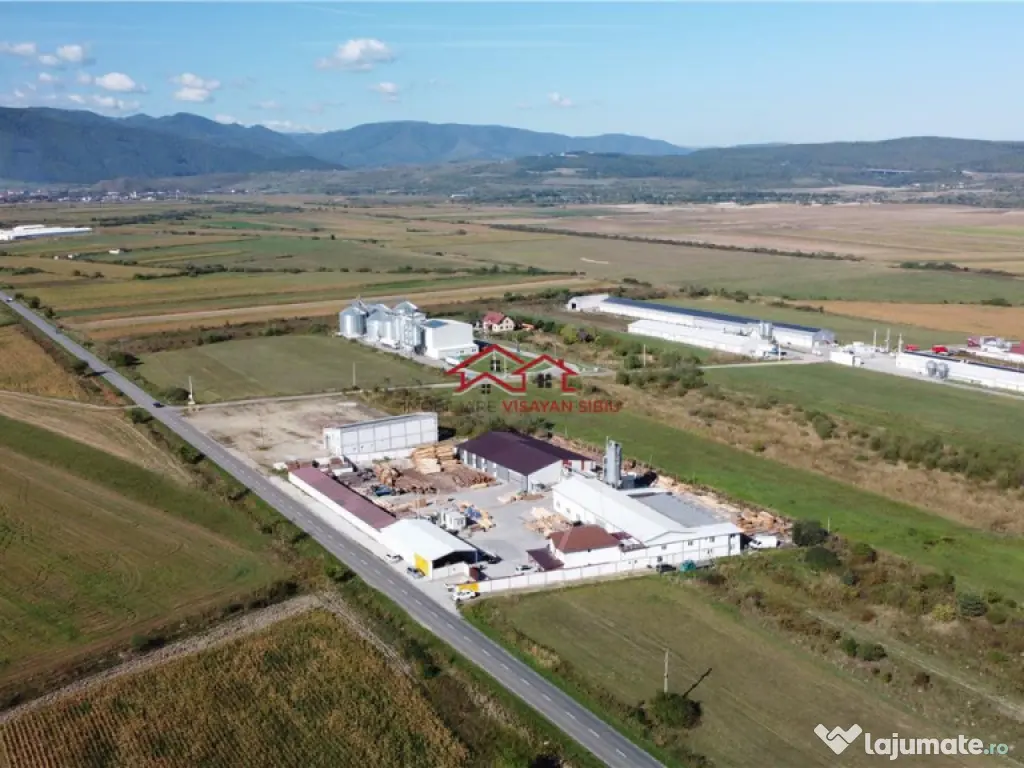 Oportunitate investi#539;ie prelucrare lemn, Cristian,jud.Si 