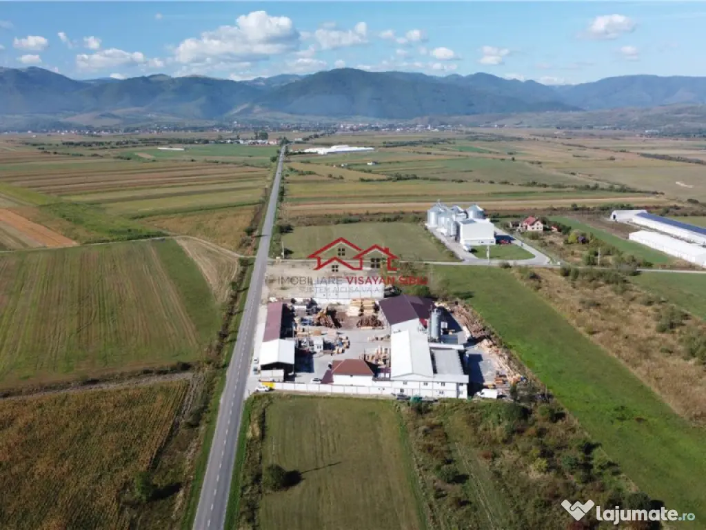 Oportunitate investi#539;ie prelucrare lemn, Cristian,jud.Si 