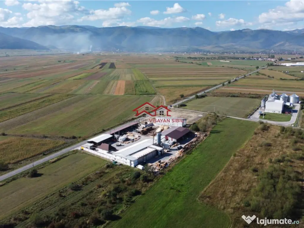 Oportunitate investi#539;ie prelucrare lemn, Cristian,jud.Si 