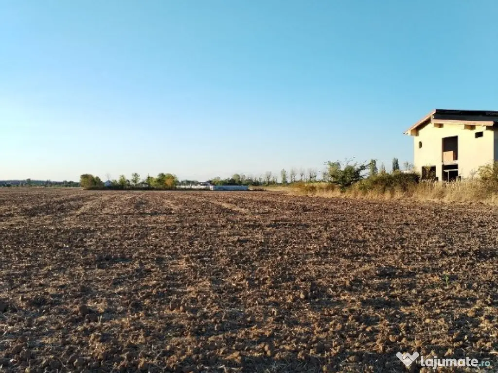 Ciolpani, spre Izvorani - COR, vanzare teren 5000mp. 