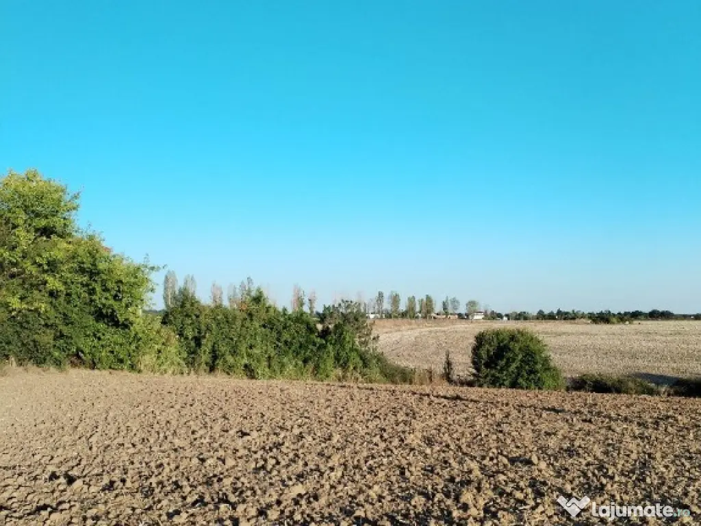 Ciolpani, spre Izvorani - COR, vanzare teren 5000mp. 